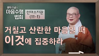 [11-1] 광우스님 '마음 수행 법회' - 마음이 편안해지는 순간, 마음이 고요해지는 순간