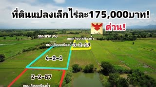 #ขายที่ดิน3แปลง เลือกได้!ไร่ละ175,000บาท/โทร.094-2826264