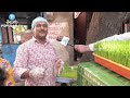 grass juice making hyderabad only at rs 20rs grass juice preparation telugu popular tv