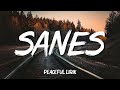 Sanes - Guyon Waton X Denny Caknan - Sanes (Lirik Lagu) || Playlist