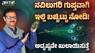 ನವಿಲುಗರಿ ಈಸ್ಥಳದಲ್ಲಿಟ್ಟರೆ ಅದೃಷ್ಟವೇ ಬದಲಾಗುತ್ತೆ peacock feather vastu direction good luck and wealth