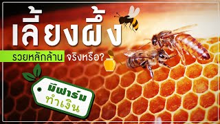 เลี้ยงผึ้งได้เงินล้าน!! จริงหรือ? | ฟาร์มทำเงิน