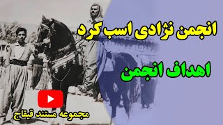 انجمن نژادی اسب کرد