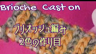 【Brioshe　knitting】①　Cast on 　2色で簡単に作り目の作り方　★棒編み中級者～