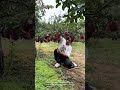 woman struggles to pick apples from low hanging branch