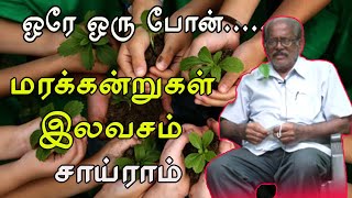 இலவசமாக மரக்கன்று வேண்டுமா அணுகுங்கள் சாய்ராம்.ஒரே ஒரு போன் மரக்கன்றுகள் FREE I  Tamilanda Valaiyoli