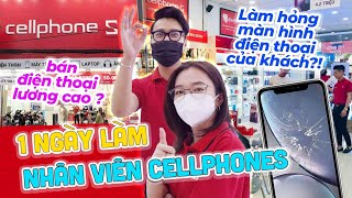 Vlog Mi Sơn: 1 ngày làm nhân viên CellphoneS - làm hỏng màn hình của khách | bán đt lương cao ?