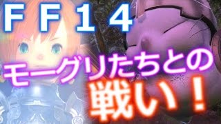 FF14 実況 「善王モグル・モグⅫ世討滅戦」タンク視点 モーグリの王様？ナメてたら絶対ダメ！