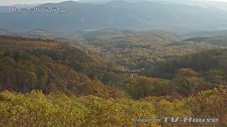 8K 秋のニセコパノラマライン2 Niseko Panorama Line in Autumn