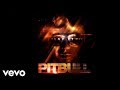 Pitbull - Shake Senora (Audio) ft. T-Pain, Sean Paul