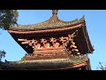 30秒の心象風景23552・塔を見上げる～斑鳩寺～