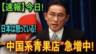 【特集】“中国系青果店”急増中!「大根１本98円」激安のワケ　海鮮、航空券まで取り扱い