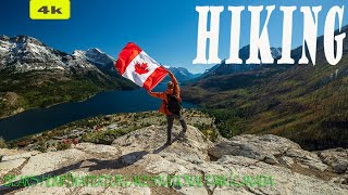 《4k》The Top 4 Hiking Trails around Waterton Lakes National Park Alberta| Bear's Hump