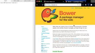 MeanStackJS - What is bower