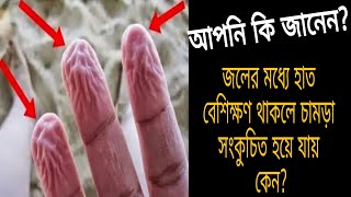 জলের মধ্যে হাত বেশিক্ষণ থাকলে চামড়া সংকুচিত হয়ে যায় কেন?