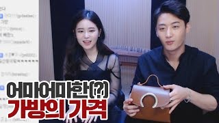 아야금의 가야금은 천만원, 가방의 가격이..헐 실화야? [피자헤븐 피자먹방/Mukbang] /170529 │ 남순 #4