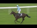 2016 qipco champion stakes almanzor racing tv