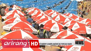 Expressways to Korea's southern and eastern coasts packed as mercury soars