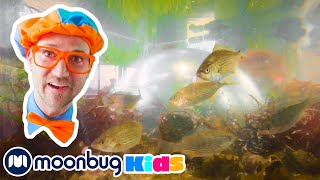 Learn English with Blippi - Learn About Sea Creatures | बच्चों के गाने और कहानियां