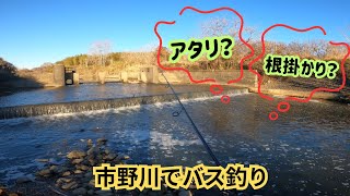 埼玉県　市野川の堰付近　初めて行くポイントの様子