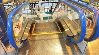 【フジテック製】ヤマダ電機テックランド福知山店　降りエスカレーター