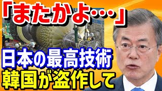 【海外の反応】「またかよ…」韓国がまたもや日本の最高技術を盗作して…【日本の魂】