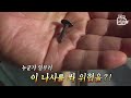 누군가 우리집을 위협한다 베란다 창문을 쏜 범인은 ┃someone s threatening the house with nail gun