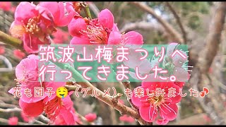 筑波山梅まつりに行ってきました♪花も団子も楽しみました❣