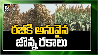 రబీకి అనువైన జొన్న రకాలు | Types Of Sorghum Seeds For Rabi Season | Matti Manishi | 10TV News