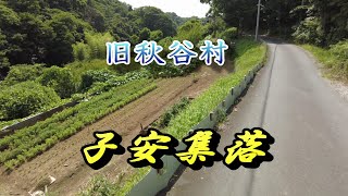 ここは横須賀❓超貴重　開発の手が及んでない完全な里山集落