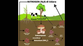 daur biokimia