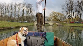 Cambridge - Punting on the River Cam