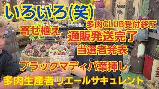 【多肉植物】【ガーデニング】いろいろ(笑)お知らせ等いろいろです‼️2023年3月14日