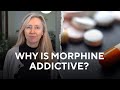 Why is Morphine addictive? | A/Prof Jennifer Stevens