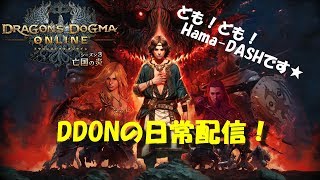 [ DDON]初見さん歓迎♪WMもいいけどBOとHOやってくよー