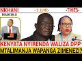 ZOMWE WACHITA KENYATA NYIRENDA ZASOKONEZA  MA PLAN A CHIPANI CHA DPP.
