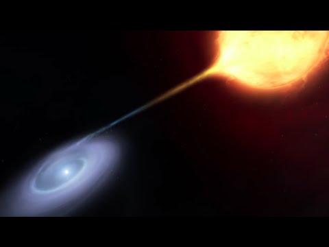What are the three types of binary stars?