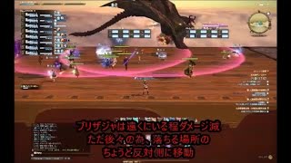 ＦＦ１４　ダン・スカー１ボス　白視点字幕解説入り