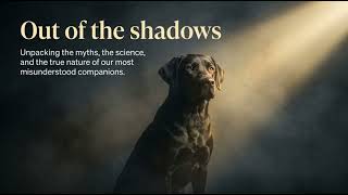 A Global Journey Through the Beliefs, Myths & Symbolism of Black Dogs