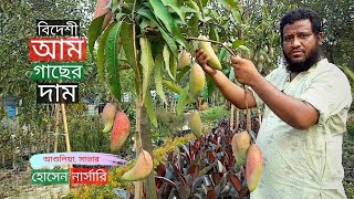 বিদেশি আমসহ গাছ আশুলিয়ার হোসেন নার্সারিতে | Mango Tree Price | Gardening Bangladesh