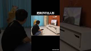 吓死宝宝了