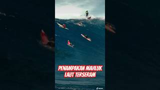 Mahluk laut seram #burung #penampakan #monster #horror