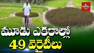 మూడు ఎకరాల్లో 49 వెరైటీల సాగు | Nizamabad | hmtv Agri