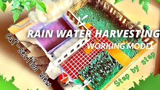 rain water harvesting project class 12 water conservation working model_3D   #scienceexhibition