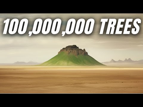 What type of desert is the Gobi Desert?