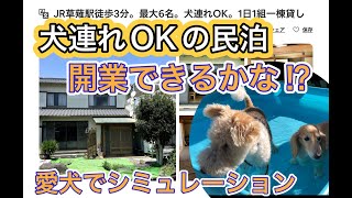 【#犬連れ OK】素人が #民泊 開業できるかな⁉︎ 愛犬でシミュレーション #airbnb  #ワイヤーフォックステリア #ダックスフンド #静岡 #清水 #草薙