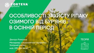 Агропоради від Corteva. Серія 15. Теорія. Особливості захисту ріпаку від бур’янів в осінній період.