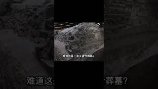 山東王羲之故居挖出晉國大墓，驚現5歲鬼新娘，專家：冥婚太殘忍 #紀中百事 #古董 #開棺 #古墓 #考古發現