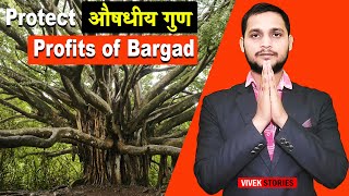 Benefits of Banyan Tree | बरगद के फायदे | औषधि ही औषधि | Protect The Banyan Tree | Vivek Stories