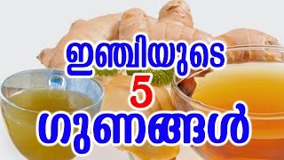 ഇഞ്ചിയുടെ  5 ഗുണങ്ങൾ | 5 Benefits of ginger | TASTY WORLD